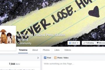 Lost-and Found Pets Staten island