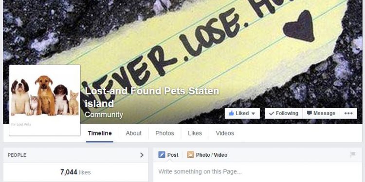 Lost-and Found Pets Staten island