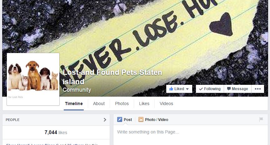 Social Media Spotlight: Lost and Found Pets, Staten Island