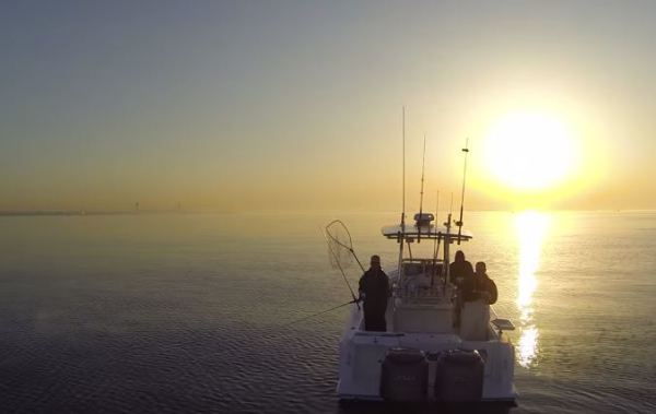 Beautiful Drone Footage of Bass Fishing Off The Coast Of Staten Island