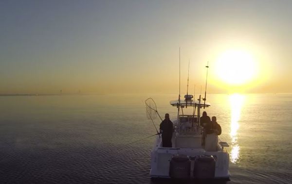 Bass Fishing off Staten Island