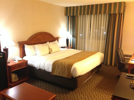 comfort-inn-suites-pittsburgh