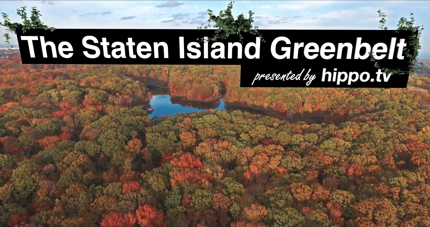 Watch: Scott Grella’s Drone Tour Of Staten Island’s Greenbelt
