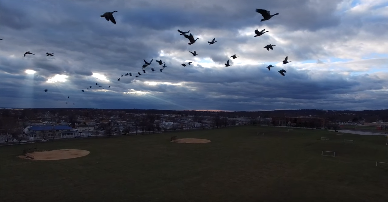 JohnnyDrone’s Miller Field Drone Footage Makes For His Most Entertaining Video Yet