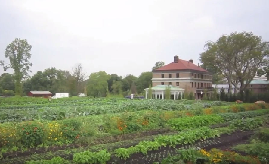 Take Advantage of ‘Farm Stand Fridays’ at Snug Harbor